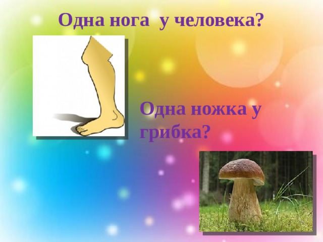 Одна нога у человека?   Одна ножка у грибка? 