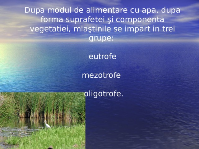 Dupa modul de alimentare cu apa, dupa forma suprafetei şi componenta  vegetatiei, mlaştinile se impart in trei grupe:   eutrofe   mezotrofe   oligotrofe. 