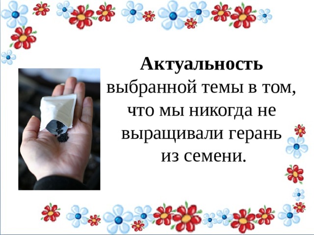 Актуальность  выбранной темы в том, что мы никогда не выращивали герань из семени. 