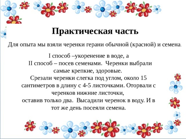   Практическая часть Для опыта мы взяли черенки герани обычной (красной) и семена . I способ –укоренение в воде, а   II способ – посев семенами.  Черенки выбрали самые крепкие, здоровые. Срезали черенки слегка под углом, около 15 сантиметров в длину с 4-5 листочками. Оторвали с черенков нижние листочки, оставив только два. Высадили черенок в воду. И в тот же день посеяли семена. 