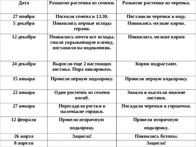 Дата Развитие растения из семени. 27 ноября Развитие растения из черенка. Посеяли семена в 13.30. 5 декабря Поставили черенки в воду. Появились первые всходы герани. 12 декабря Появились мелкие корни. Появились почти все всходы, сняли укрывающую пленку, поставили на подоконник. 24 декабря Появились мелкие корни Выросли еще 2 настоящих листика. Пора пикировать. 15 января 22 января Провели первую подкормку. Корни подрастают. 27 января Провели первую подкормку. Один росточек из семени погиб. 12 февраля Завяли и высохли нижние листики. Пересадили ростки в маленькие горшки. 26 марта Посадили черенки в горшочки. Провели вторичную подкормку. 8 апреля Провели вторичную подкормку. Зацвела! Появились бутоны. Зацвела! 
