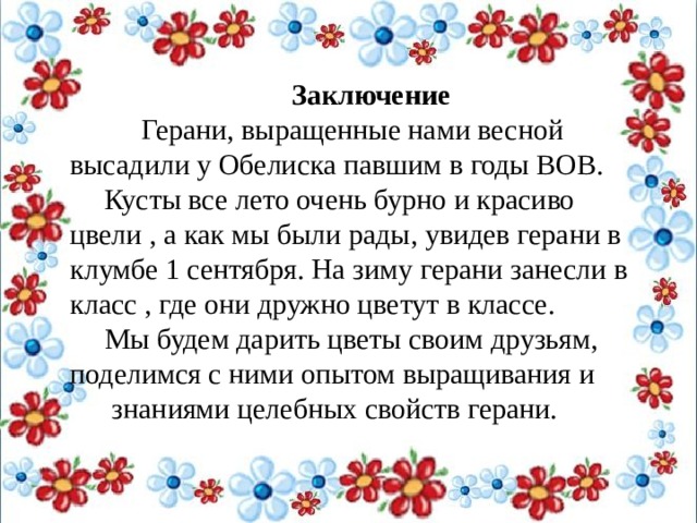 Заключение  Герани, выращенные нами весной высадили у Обелиска павшим в годы ВОВ. Кусты все лето очень бурно и красиво цвели , а как мы были рады, увидев герани в клумбе 1 сентября. На зиму герани занесли в класс , где они дружно цветут в классе. Мы будем дарить цветы своим друзьям, поделимся с ними опытом выращивания и  знаниями целебных свойств герани. 