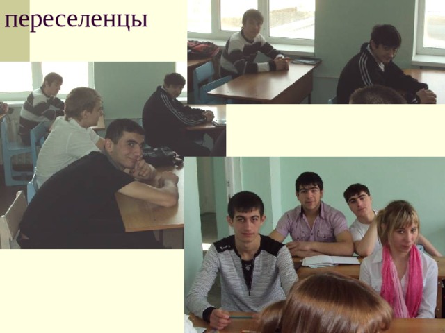 переселенцы 