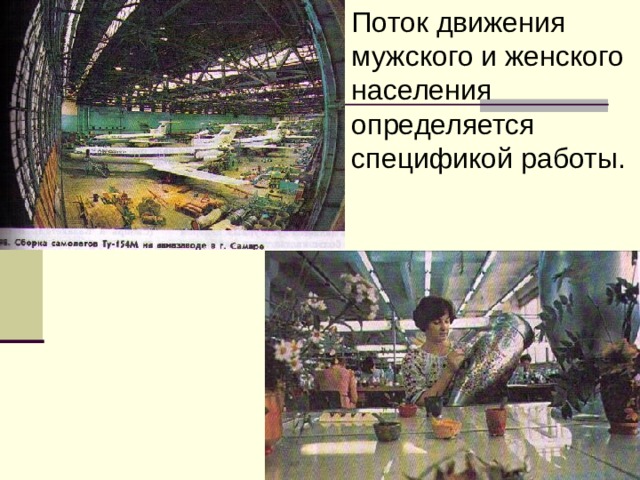Поток движения мужского и женского населения определяется спецификой работы. 