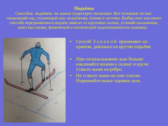 Способы подъема. Способ подъема в гору на лыжах 8. Способы подъема лыжника. (Скользящий шаг, ступающий шаг, «лесенка», «елочка» и «Полуелочка»). От чего зависит выбор способа подъема в гору на лыжах.