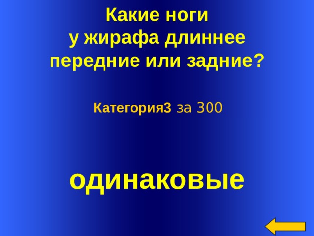 Какие ноги  у жирафа длиннее передние или задние?   Категория3 за 300 одинаковые Welcome to Power Jeopardy   © Don Link, Indian Creek School, 2004 You can easily customize this template to create your own Jeopardy game. Simply follow the step-by-step instructions that appear on Slides 1-3.  