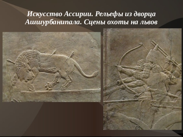Искусство Ассирии. Рельефы из дворца Ашшурбанипала. Сцены охоты на львов 