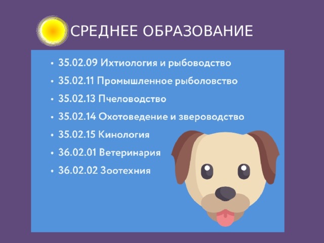 СРЕДНЕЕ ОБРАЗОВАНИЕ 