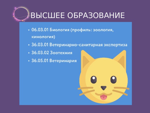 ВЫСШЕЕ ОБРАЗОВАНИЕ 