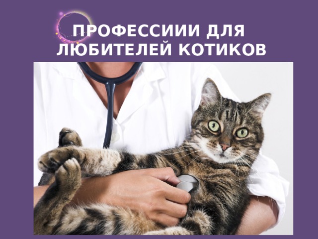 ПРОФЕССИИИ ДЛЯ ЛЮБИТЕЛЕЙ КОТИКОВ 