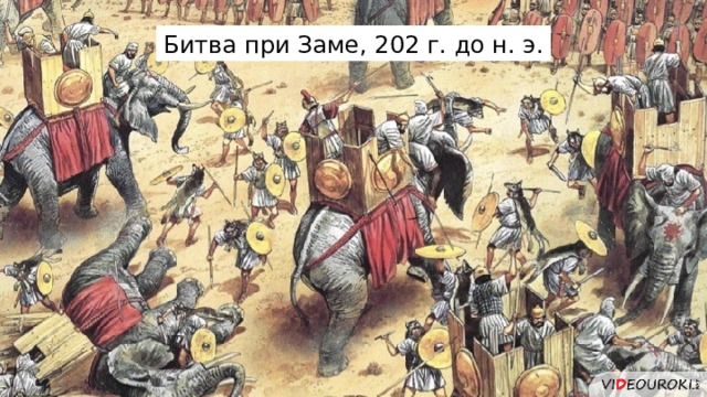 Битва при Заме, 202 г. до н. э. 