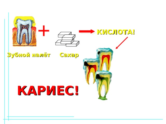 Проект зубы 11 класс