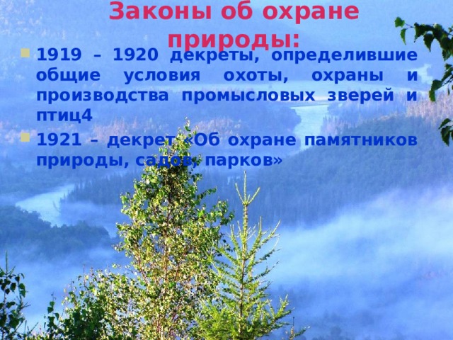 Презентация на тему законы россии об охране животного мира система мониторинга