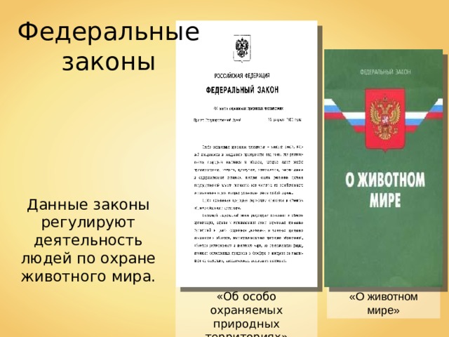 Презентация на тему законы россии об охране животного мира система мониторинга