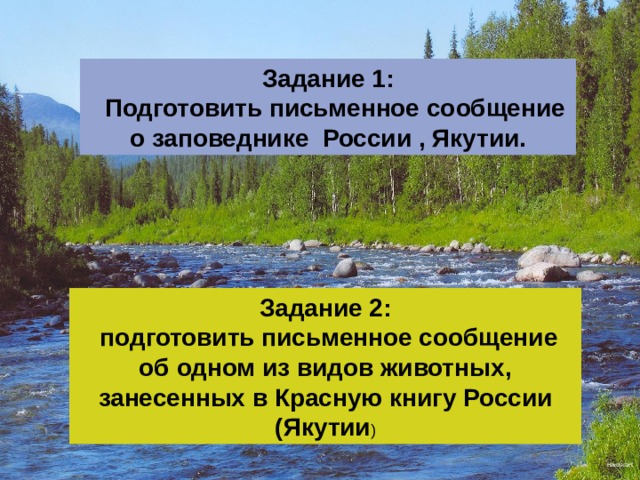 Презентация на тему законы россии об охране животного мира система мониторинга