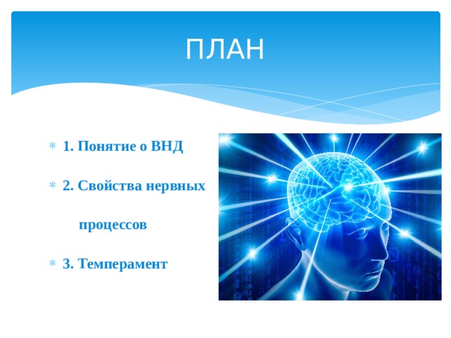 ПЛАН 1. Понятие о ВНД 2. Свойства нервных  процессов 3. Темперамент 