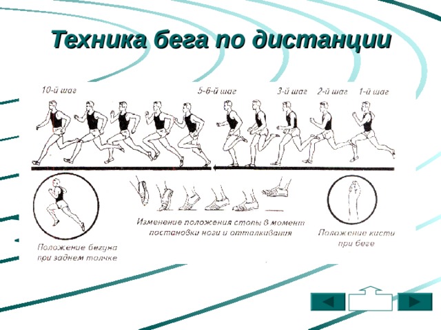 Техника бега по дистанции содержание 