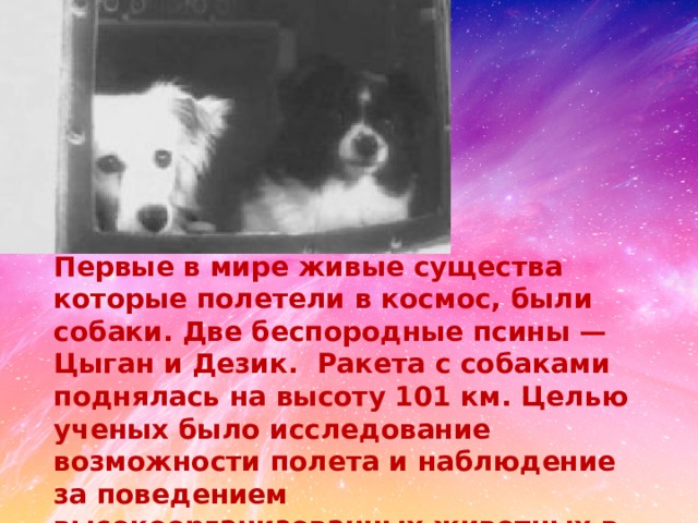 Первые в мире живые существа которые полетели в космос, были собаки. Две беспородные псины — Цыган и Дезик.  Ракета с собаками поднялась на высоту 101 км. Целью ученых было исследование возможности полета и наблюдение за поведением высокоорганизованных животных в условиях ракетного полета. Их полет прошел успешно 22 июля 1951 года. После этого было совершено много полетов в космос с другим собаками на борту. 