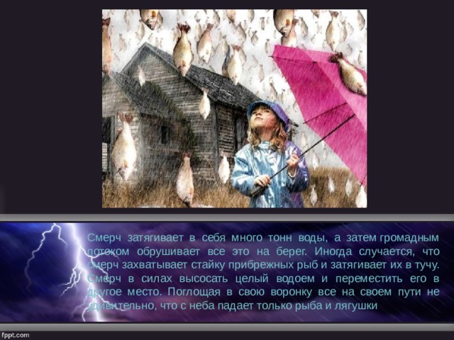 Смерч затягивает в себя много тонн воды, а затем громадным потоком обрушивает все это на берег. Иногда случается, что смерч захватывает стайку прибрежных рыб и за­тягивает их в тучу. Смерч в силах высосать целый водоем и переместить его в другое место. Поглощая в свою воронку все на своем пути не удивительно, что с неба падает только рыба и лягушки 