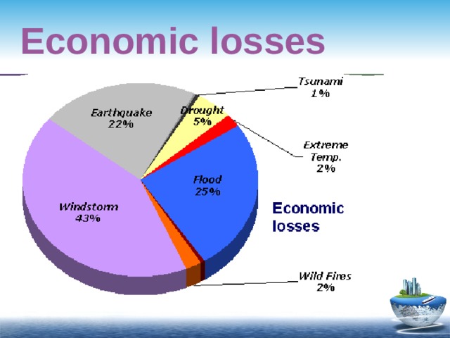 Economic losses 