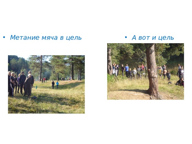 Метание мяча в цель А вот и цель 