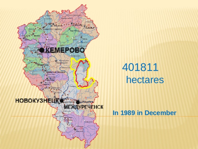 401811 hectares In 1989 in December 
