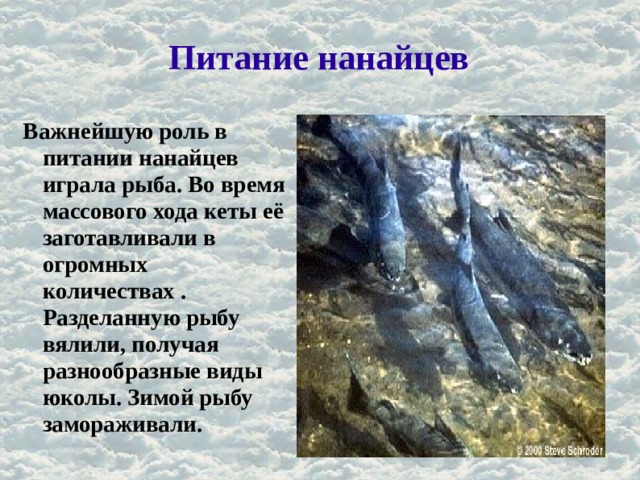 Питание нанайцев Важнейшую роль в питании нанайцев играла рыба. Во время массового хода кеты её заготавливали в огромных количествах . Разделанную рыбу вялили, получая разнообразные виды юколы. Зимой рыбу замораживали. 