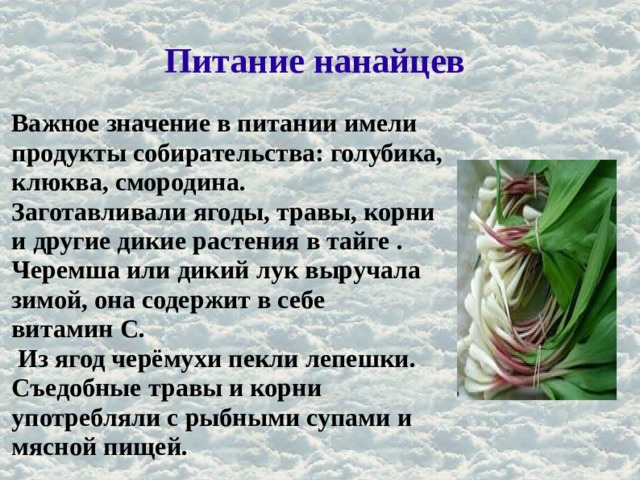 Питание нанайцев Важное значение в питании имели продукты собирательства: голубика, клюква, смородина. Заготавливали ягоды, травы, корни и другие дикие растения в тайге . Черемша или дикий лук выручала зимой, она содержит в себе витамин С.  Из ягод черёмухи пекли лепешки. Съедобные травы и корни употребляли с рыбными супами и мясной пищей. 