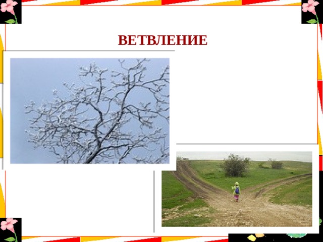 ВЕТВЛЕНИЕ 
