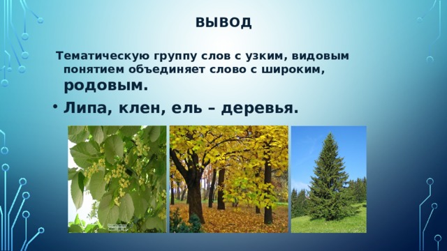 К каждой группе слов подберите слово с общим родовым значением запишите слова по образцу