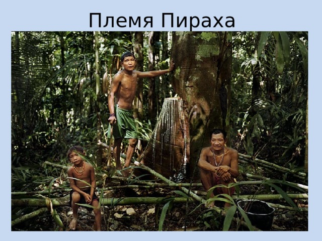 Племя Пираха Однако не все люди живут по данной договоренности. У реки Маиси в Бразилии живет племя индейцев Пираха. Устройство жизни племени, при котором ночной сон не разделяет дни с неизбежностью метронома, позволило пираха установить очень странные отношения с категорией времени. Они не знаю что такое «завтра» и что такое «сегодня», и также плохо ориентируют понятия «прошлое» и «будущее». Так что никаких календарей, счета времени и прочих условностей пираха не знают.  