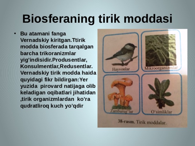 Biosferaning tirik moddasi Bu atamani fanga Vernadskiy kiritgan.Ttirik modda biosferada tarqalgan barcha trikoranizmlar yig’indisidir.Produsentlar, Konsulmentlar,Redusentlar. Vernadskiy tirik modda haida quyidagi fikr bildirgan:Yer yuzida pirovard natijaga olib keladigan oqibatlari jihatidan ,tirik organizmlardan ko’ra qudratliroq kuch yo’qdir 