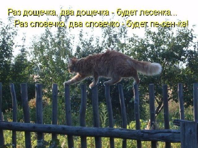 Раз дощечка, два дощечка –  Будет лесенка,  Раз словечко, два словечко-  Будет песенка.   