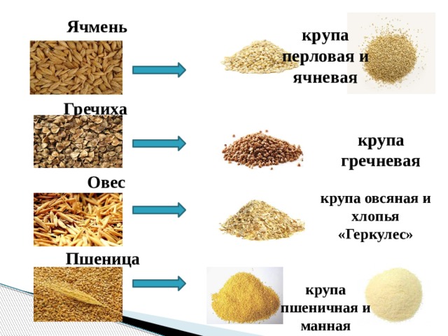 Злак для каши солдат 5