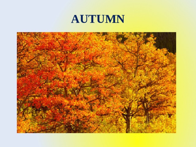 AUTUMN 