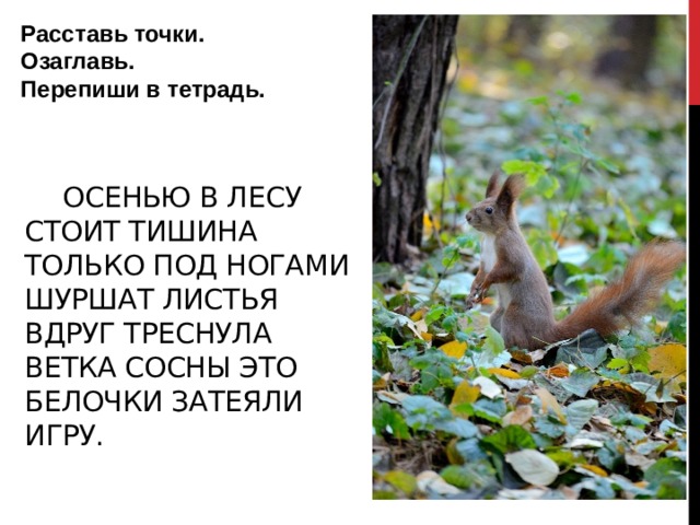 Расставь точки. Озаглавь. Перепиши в тетрадь.  Осенью в лесу стоит тишина только под ногами шуршат листья вдруг треснула ветка сосны это белочки затеяли игру.   Если где-то такой нюанс, что картинка появляется почему-то в конце слайда, то исправляй, пожалуйста. Пускай с заголовком или с тектом появляется. Кроме случаев, когда позднее появление необходимо по смыслу (например, если рисунок является отгадкой на вопрос на слайде)  