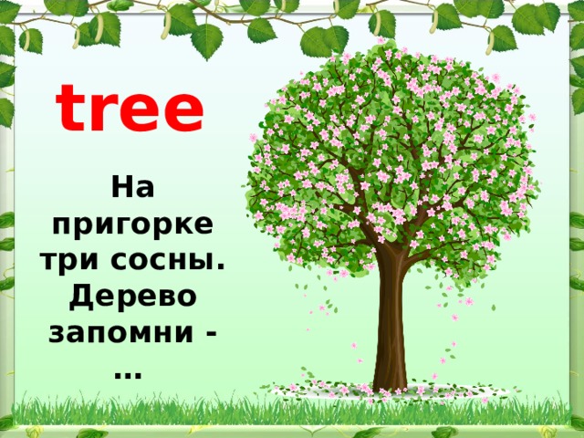 tree На пригорке три сосны. Дерево запомни - … 