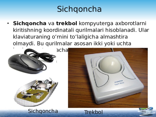 Sichqoncha Sichqoncha va trekbol kompyuterga axborotlarni kiritishning koordinatali qurilmalari hisoblanadi. Ular klaviaturaning o‘rnini to‘laligicha almashtira olmaydi. Bu qurilmalar asosan ikki yoki uchta boshqaruv tugmachasiga egadir.   Sichqoncha Trekbol 