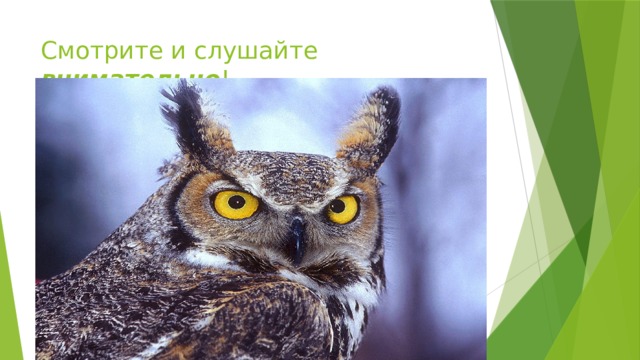 Смотрите и слушайте внимательно ! 