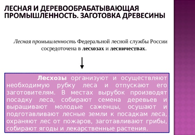 Лесная промышленность Федеральной лесной службы России сосредоточена в лесхозах и лесничествах . Лесная промышленность Федеральной лесной службы России сосредоточена в лесхозах и лесничествах . Лесхозы организуют и осуществляют необходимую рубку леса и отпускают его заготовителям. В местах вырубок производят посадку леса, собирают семена деревьев и выращивают молодые саженцы, осушают и подготавливают лесные земли к посадкам леса, охраняют лес от пожаров, заготавливают грибы, собирают ягоды и лекарственные растения.