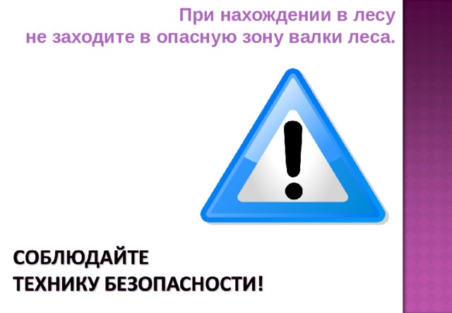 При нахождении в лесу не заходите в опасную зону валки леса.