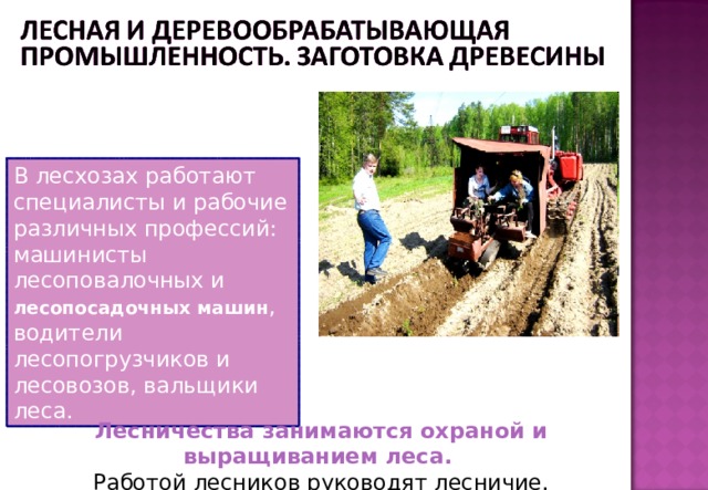 В лесхозах работают специалисты и рабочие различных профессий: машинисты лесоповалочных и лесопосадочных машин , водители лесопогрузчиков и лесовозов, вальщики леса. Лесничества занимаются охраной и выращиванием леса. Работой лесников руководят лесничие.