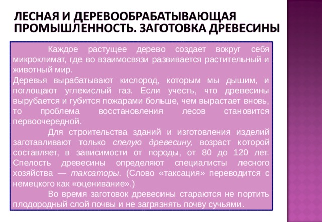Каждое растущее дерево создает вокруг себя микроклимат, где во взаимосвязи развивается растительный и животный мир. Деревья вырабатывают кислород, которым мы дышим, и поглощают углекислый газ. Если учесть, что древесины вырубается и губится пожарами больше, чем вырастает вновь, то проблема восстановления лесов становится первоочередной. Для строительства зданий и изготовления изделий заготавливают только спелую древесину, возраст которой составляет, в зависимости от породы, от 80 до 120 лет. Спелость древесины определяют специалисты лесного хозяйства — таксаторы. (Слово «таксация» переводится с немецкого как «оценивание».) Во время заготовок древесины стараются не портить плодородный слой почвы и не загрязнять почву сучьями.