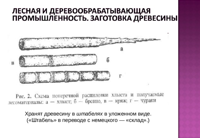 Хранят древесину в штабелях в уложенном виде. («Штабель» в переводе с немецкого — «склад».)