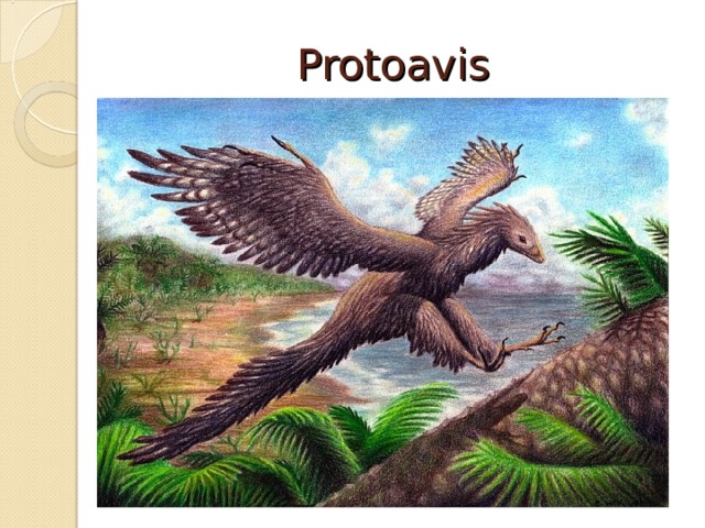Protoavis 