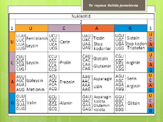 To`rayeva Xolida Jamolovna 