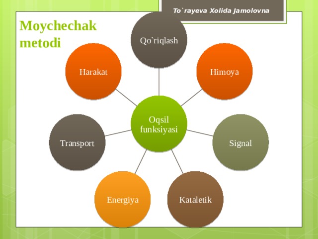 To`rayeva Xolida Jamolovna Qo`riqlash Moychechak  metodi Himoya Harakat Oqsil funksiyasi Transport Signal Energiya Kataletik 