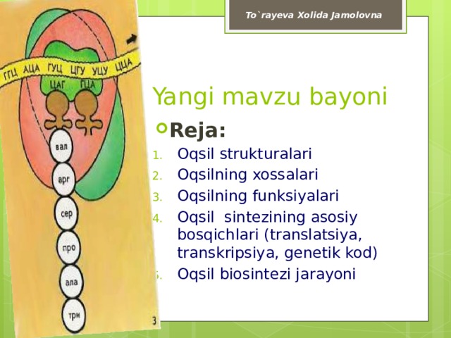 To`rayeva Xolida Jamolovna Yangi mavzu bayoni Reja: Oqsil strukturalari Oqsilning xossalari Oqsilning funksiyalari Oqsil sintezining asosiy bosqichlari (translatsiya, transkripsiya, genetik kod) Oqsil biosintezi jarayoni 