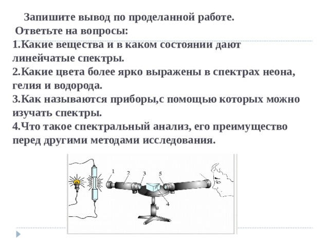 Какой тип развития характерен для клопа щитника линейчатого изображенного на рисунке