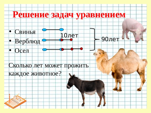 Решение задач уравнением Свинья Верблюд Осел 10лет 90лет Сколько лет может прожить каждое животное?